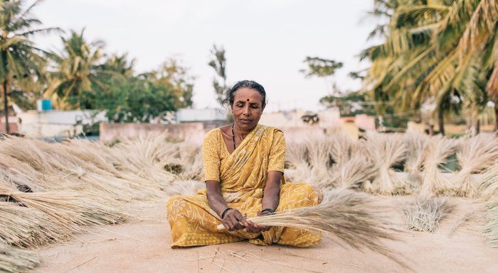 Fields of gold India