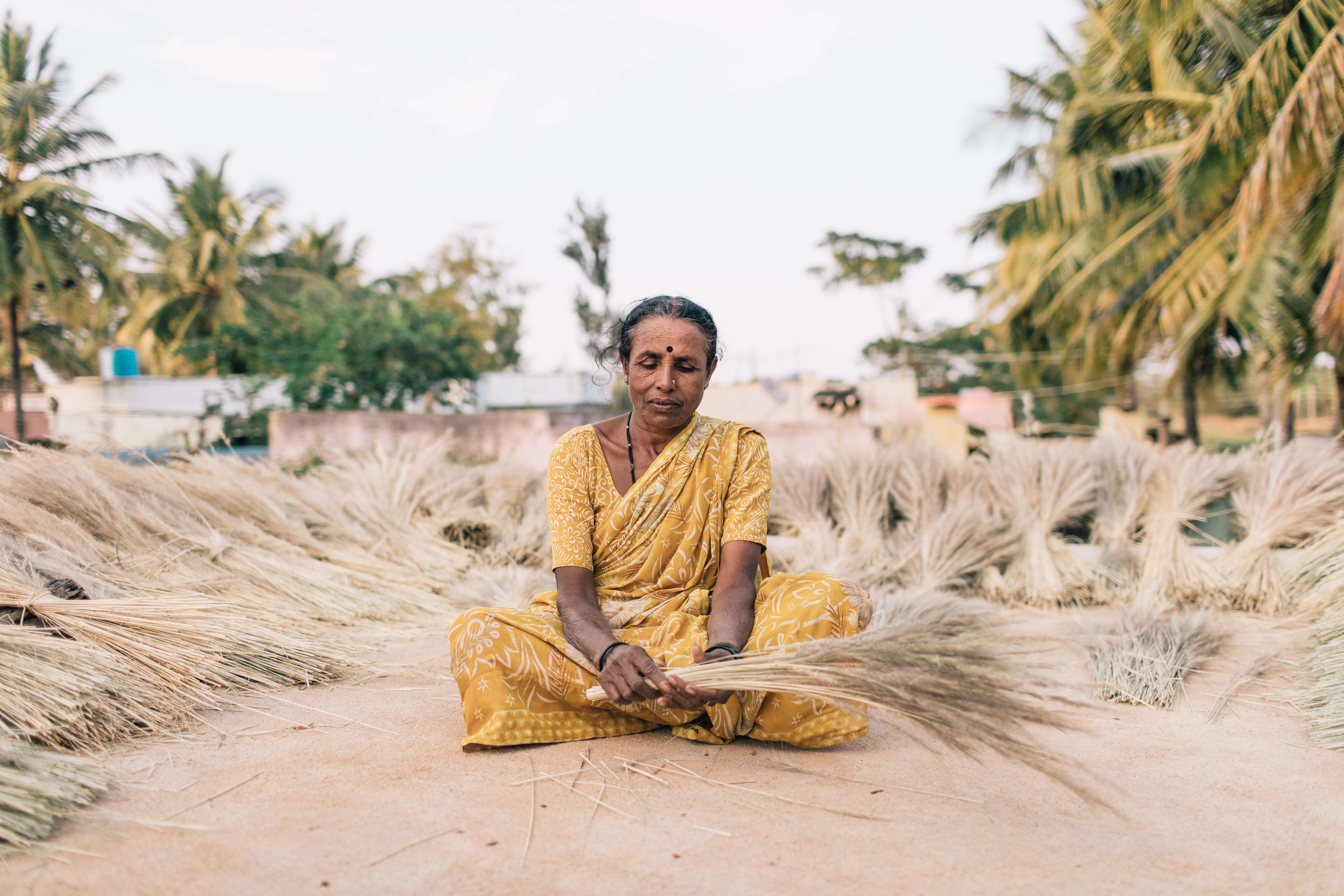 Fields of gold India