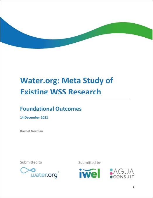 WSS Meta study foundational outcomes thumbnail
