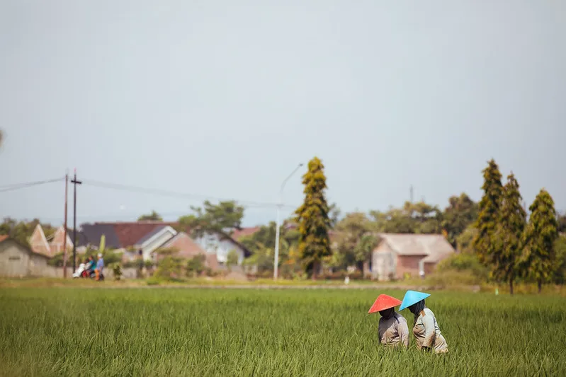 40346826483_b163c47f89_c