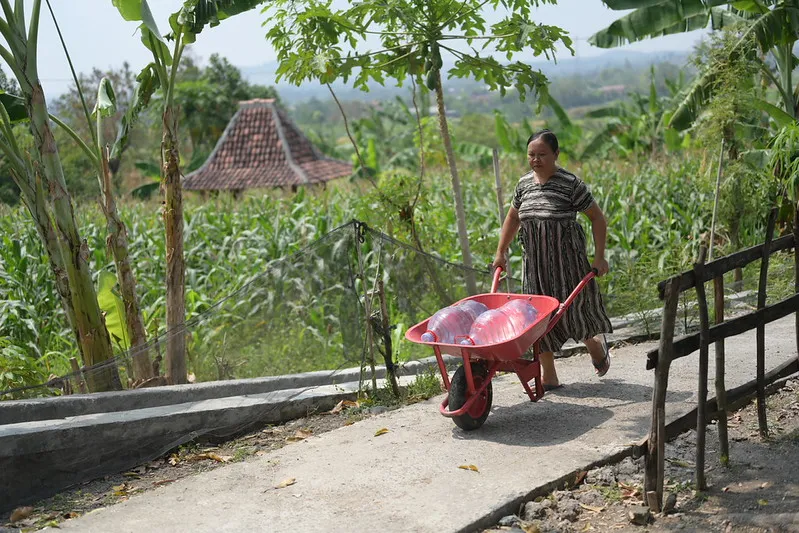 54947672762_b9210b5df2_c