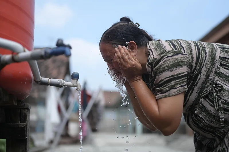 54948857600_801aa2b71e_c