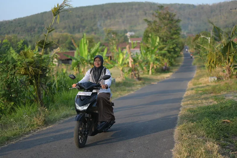 54948857910_f64b0a224a_c