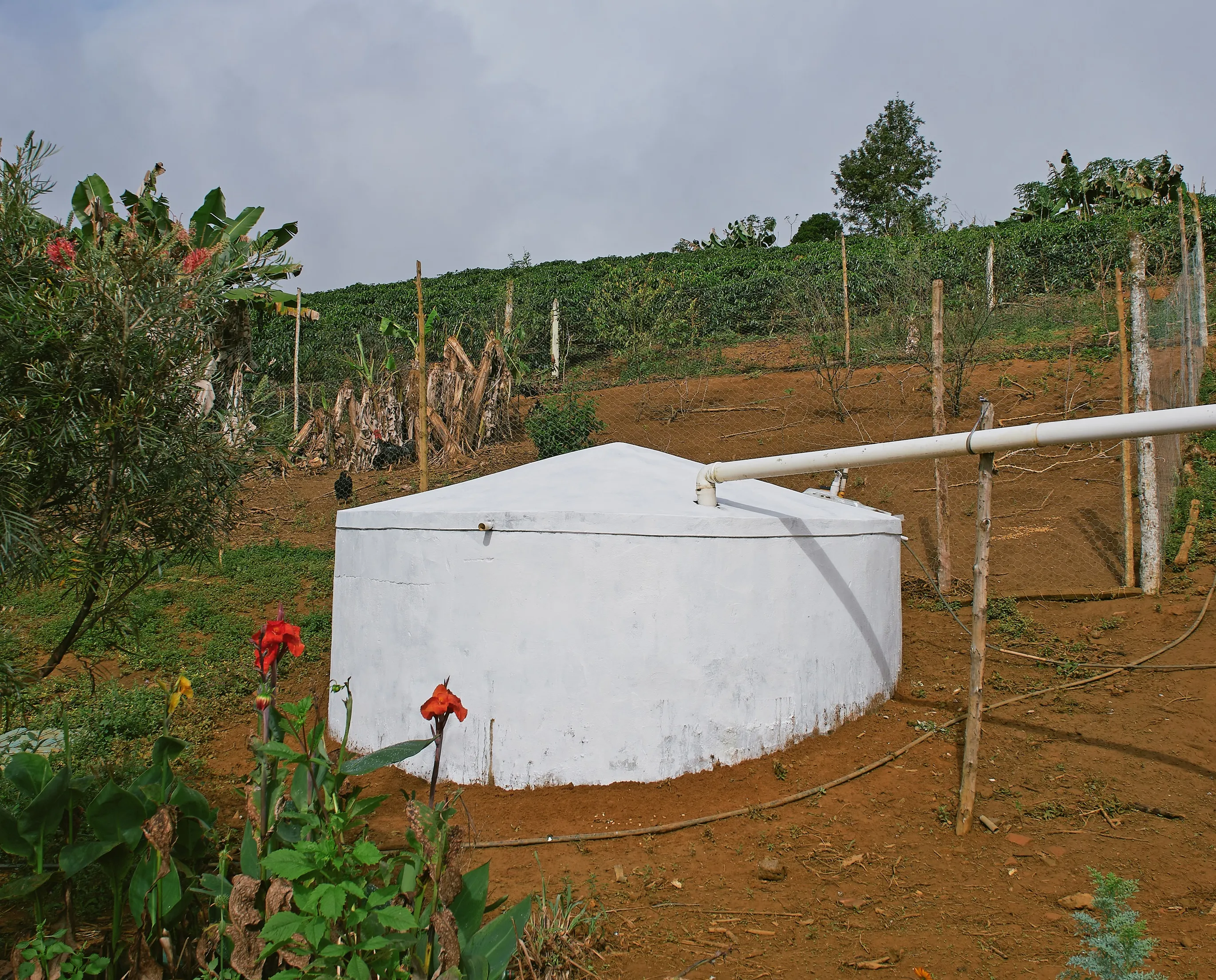 Elivane storage tank