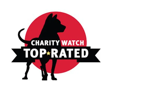 Logo-Charity Watch